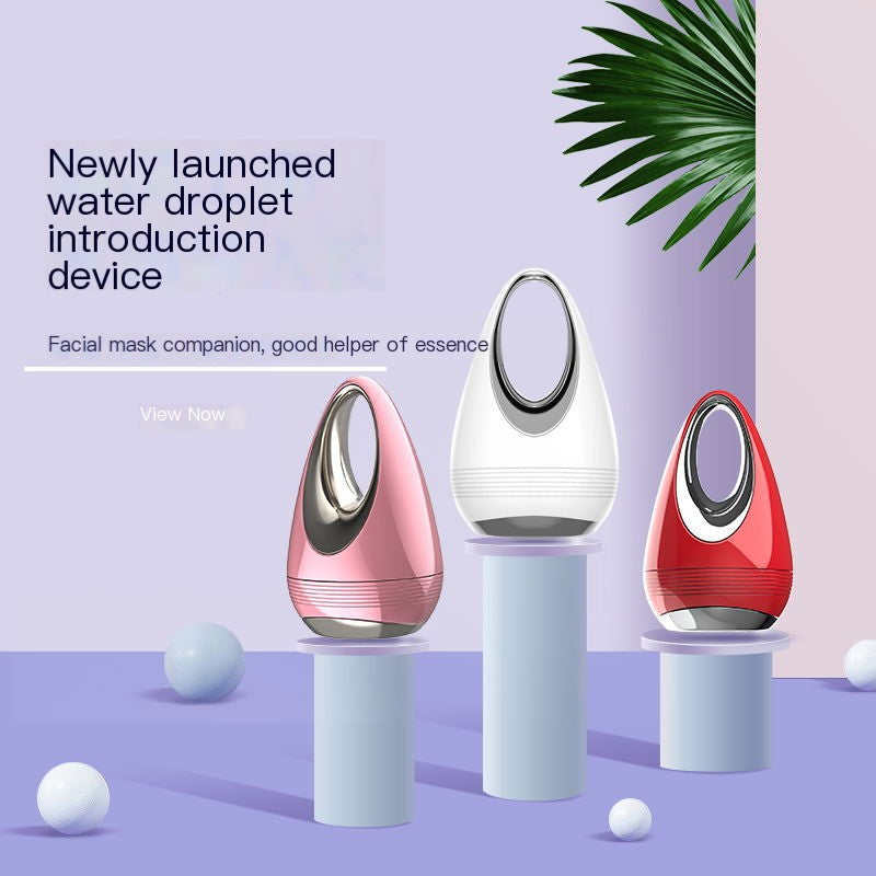 Color Light Ion Import Facial Massager Beauty Device