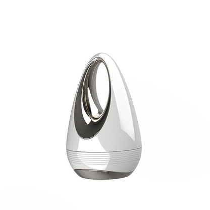 Color Light Ion Import Facial Massager Beauty Device